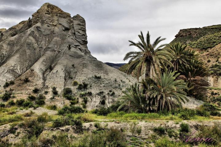 Alojamiento Las Dunas Bajo Tabernas Eksteriør billede